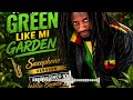 Winky D - Green like mi garden(Saxophone version Re-Imagined)