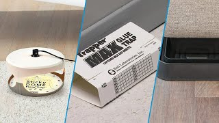 Top 10 Bed Bug Trap in 2025 (Best Selling)