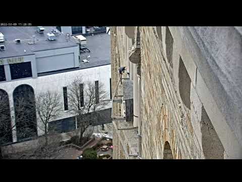 March 9 2022 Ares brings food to Astrid 1127AM