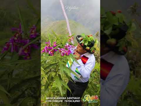 Yungor de oro de tayacaja huancavelica
