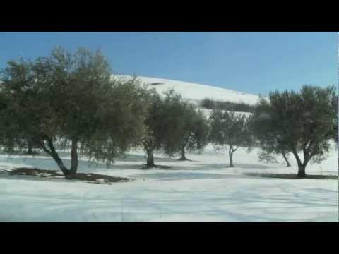 Neve 2012_ Palazzo San Gervasio