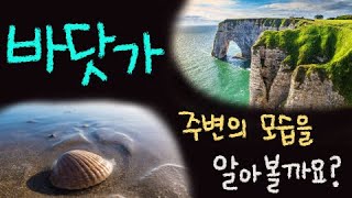 바닷가 주변의 모습을 알아볼까요? ■주요개념: 지형, 해안지형, 침식, 퇴적 [초등 과학 3학년 2학기 3단원 8차시]