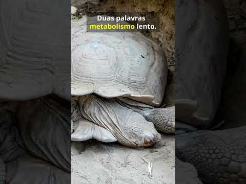 Ele sobreviveu 10 anos no escuro sob o piso!