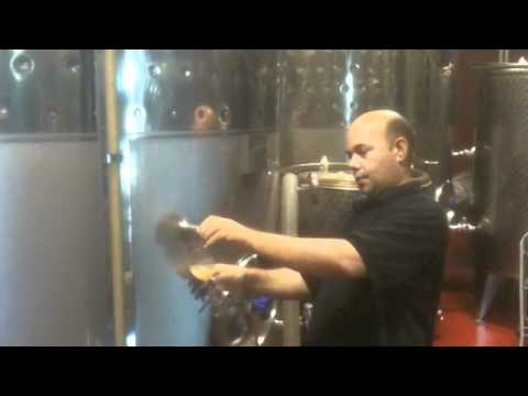 Cava Oriol Rossell - Verema Xarello 2011