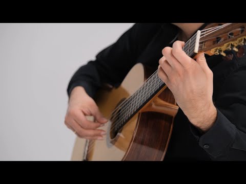 Krzysztof Cyran – Zwierzakolekcja. 8 etiud na gitarę (2016) – Taniec nietoperzy