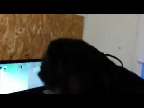 Reyel ay freestyle jail