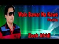 Wale Bawar Na Kaway | Zeek Afridi | Pashto Song | HD Video