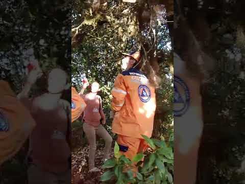 Defensa civil junta Belén Nariño en la protección de la flora y la fauna