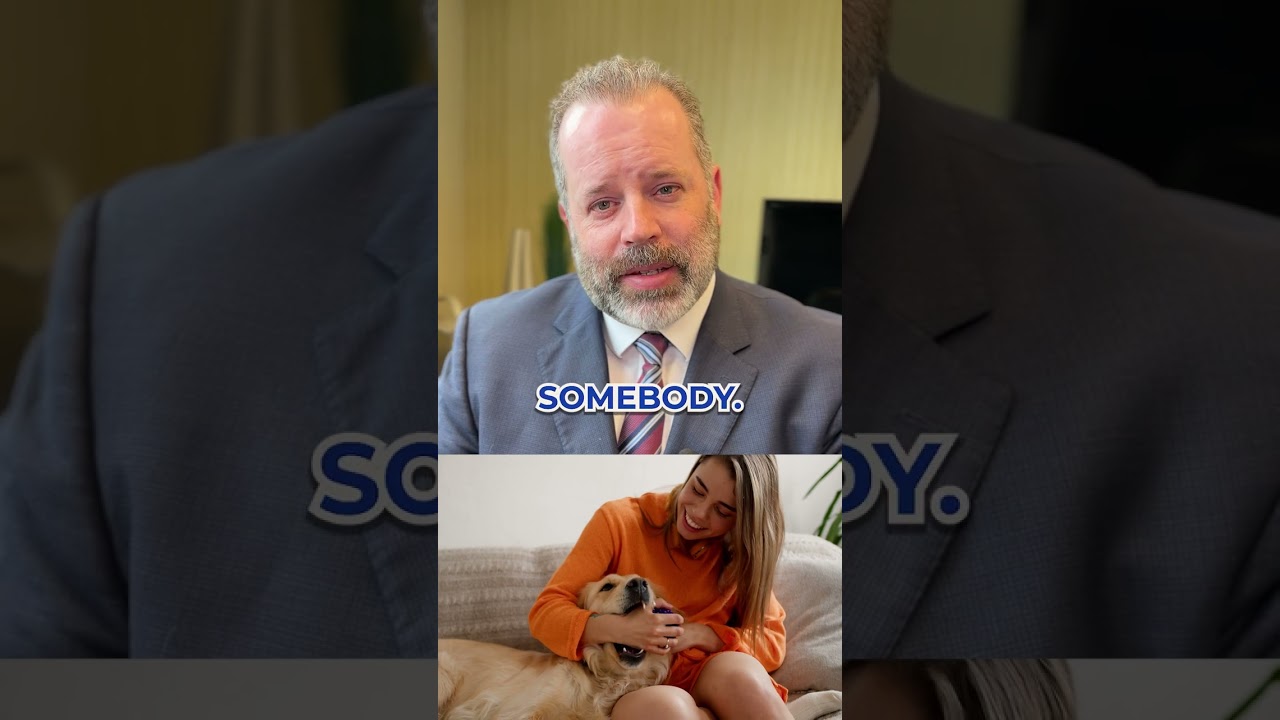 I Handle Dog Bite Cases