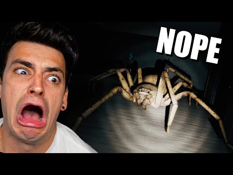 GETTING CHASED BY A GIANT SPIDER?! (Huntsman)