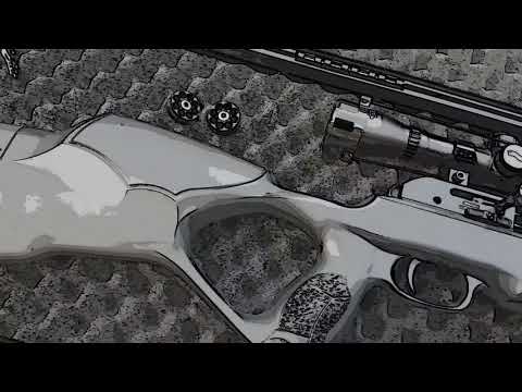 Walther RM8 UC Airgun of the year nomination