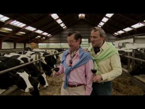 Fritz og Poul er faret vild hos øko-køerne...