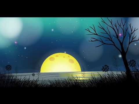 Imada Masaru  - Dear Lili [1982]