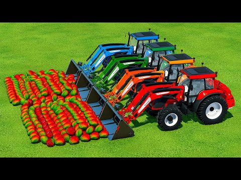 LOAD & TRANSPORT MANGO WITH VALTRA TRACTORS - Farming Simulator 22