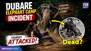 Viral Video: Tourist Killed During Elephant Fight at Dubare Camp in Karnataka