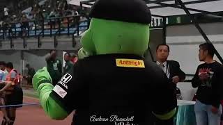 Download lagu Story Wa Maskot Persebaya mp3 Download lagu Story Wa Maskot Persebaya mp3