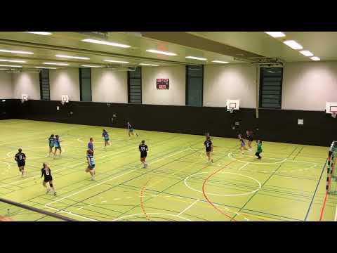 F-BL: SG Ailingen-Tannau - HSG Friedrichshafen-Fischbach 27:22 (12:8)