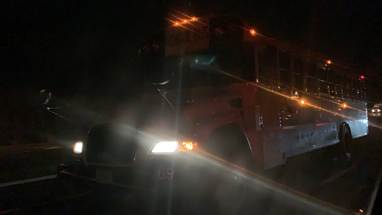 Gasoline Blue Bird Vision #69