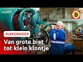 Hoe wordt een biet een suikerklontje? | Omroep Brabant