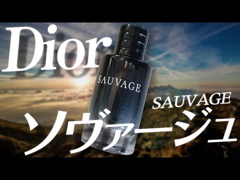 マルイニエール デュ ピュイ ソヴァージュについて詳しく解説