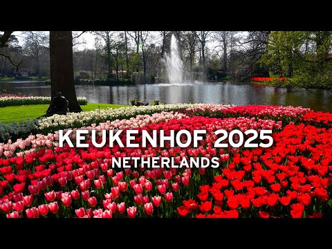 🇳🇱 Keukenhof 2025 – Warm & Sunny April Walk with Nature Sounds  [4K]