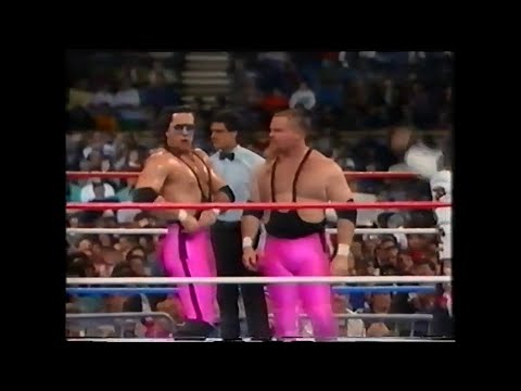 Hart Foundation & Danny Davis vs Sam Houston, Horne, & King   SuperStars Jan 23rd, 1988