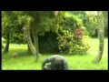 Kangal Song Marikolunthu