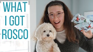 Maltipoo Christmas Adventures - Walk to see Lights, Playing in Snow & Wrapping Rosco's Presents