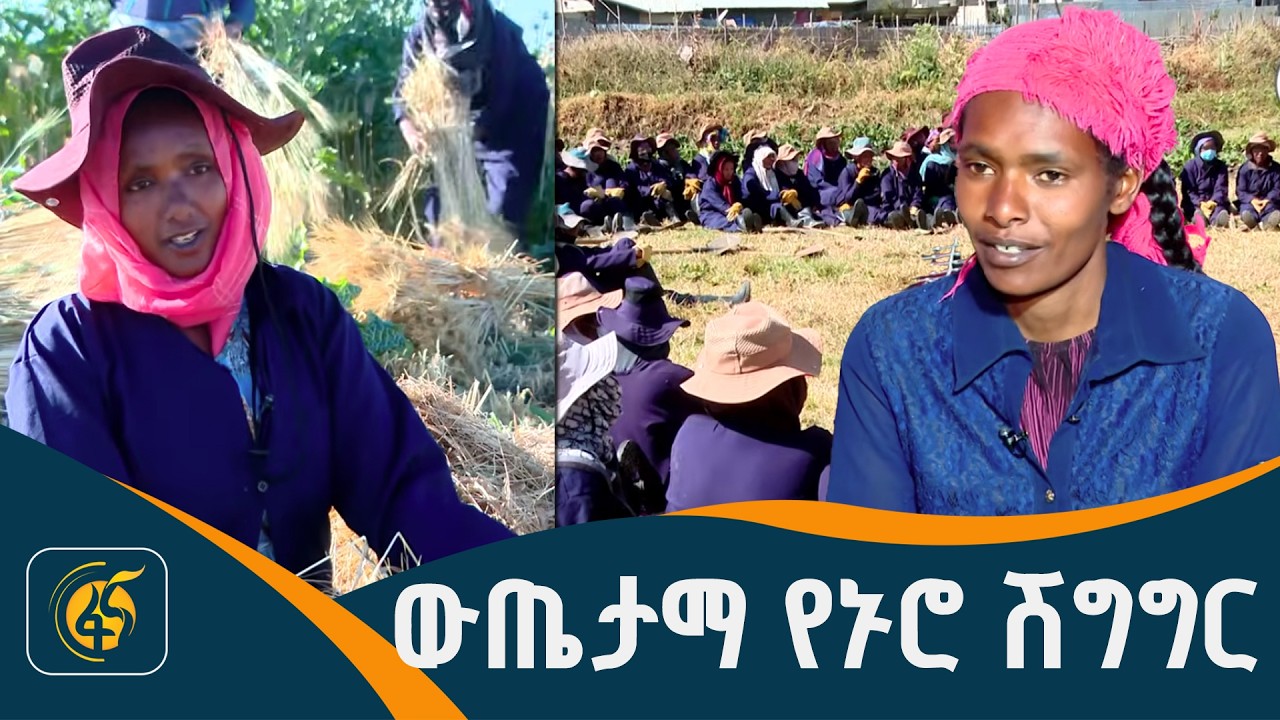 ሴፍቲኔት በደብረ ብርሃን