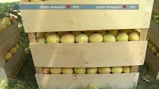 Ինդեքս 21.06.2021