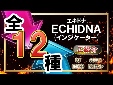 Video Win rate signal Echidna