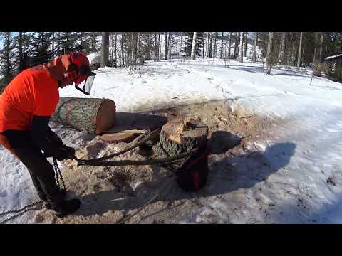 Metsolan Metsäkoulu 204 - Vielä kerran pojat