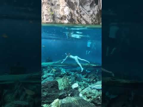 Assim é a Lagoa do Japonês no estado de Tocantins no Brasil.! #top #trending #foryou  #vairalvideo