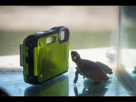 Olympus Tough TG 620 Demo