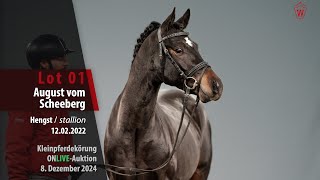 Video von August vom Scheeberg