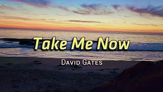 Take Me Now - KARAOKE VERSION - in the style of David Gates