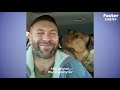 Guy Promises He's Not Going To Keep His Foster Dog... The Dodo Foster Diaries thumbnail 2