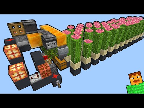 Coltivazioni automatiche di cactus efficienti! [TUTORIAL] 1.21.5-1.21.11+ Minecraft