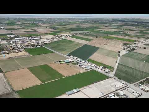 Pedregal Majes Caylloma Arequipa Perú 🇵🇪