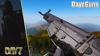 DayZ All Weapons Showcase 1.29