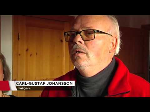 UV ska lysa upp mörk statistik - Nyheterna (TV4)