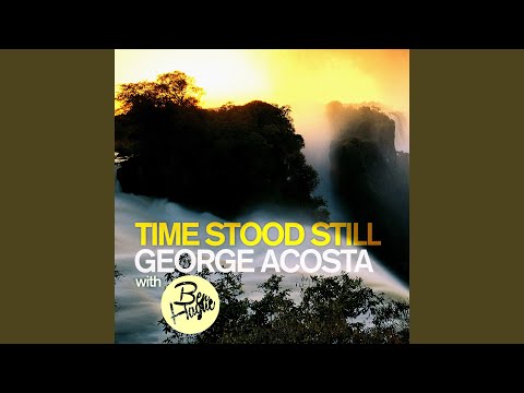Time Stood Still (Ido Remix)