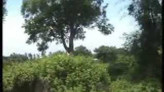 Download lagu Panton Tambhena Ngantok(Bawean) mp3
