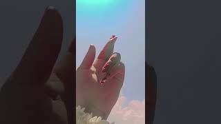 Download lagu bepanah Ishq#sharadmalhotra #shurbhi #newbollywoodsong π€ mp3 Download lagu bepanah Ishq#sharadmalhotra #shurbhi #newbollywoodsong π€ mp3