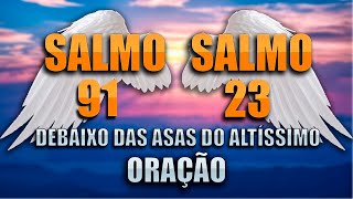 DUAS ORAÇÕES PODERORAS DO SALMO 91 E SALMO 23  - Proteção e Provisão