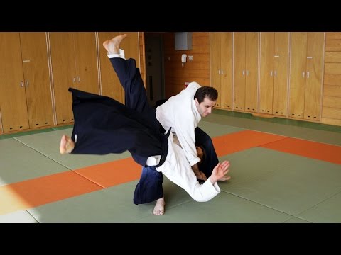 Powerful Aikido - Guillaume Erard in Tokyo (September 2014)