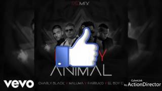 Farruko ...Party Animal Remixx