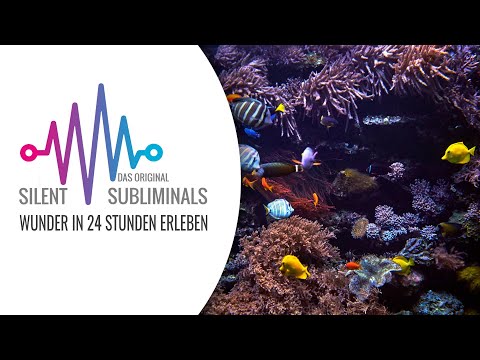 Wunder in 24 Stunden erleben ► Silent Subliminals ► Wünsche verwirklichen