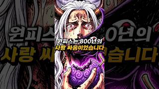[ 원피스 최신네타  ] 드디어 밝혀지는 조이보이와 이무의 충격적인 삼각관계