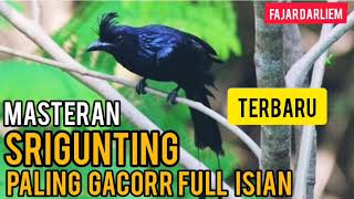 Download lagu MP3 Masteran Srigunting full Isian Variasi CEPAT MASUK!!! mp3